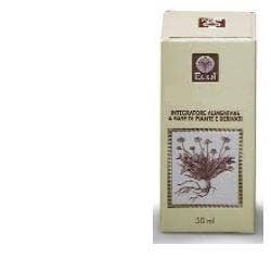 Ecol Ribes Nero Gemme Estratto Analcolico 50ml