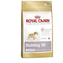 Royal Canin Bulldog Puppy Alimento Per Cani Cuccioli 12kg