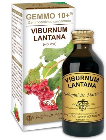 Dr. Giorgini Viburno Liquido Analcolico 100ml