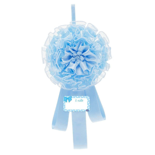 Ch Fiocco Nascita Azzurro