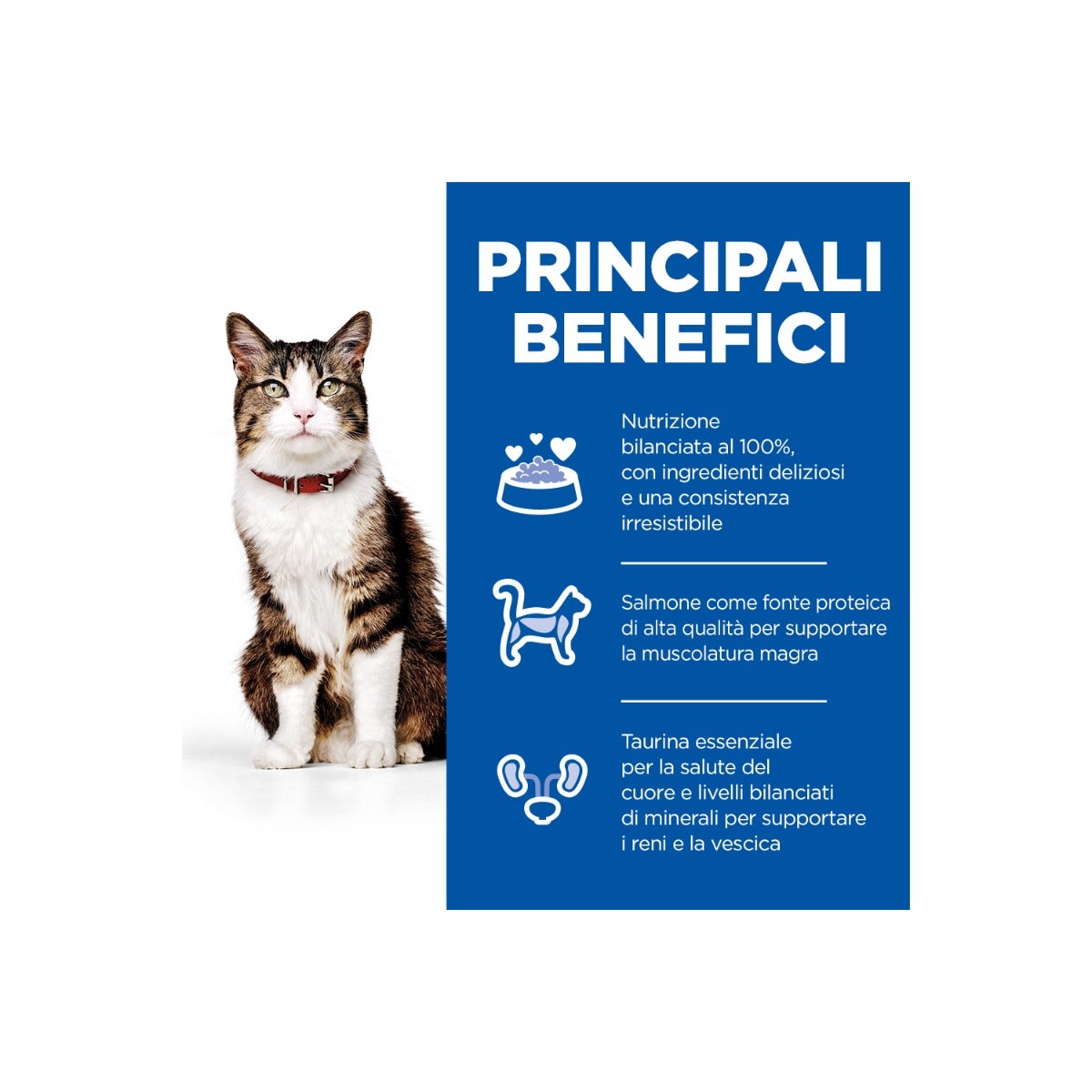 Hill's Science Plan Culinary Creations Medium Adult Crocchette per Gatti con Salmone E Carote 10kg