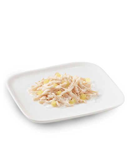 Schesir Pollo Con Ananas Cibo Umido Cani Adulti Lattina 150 g
