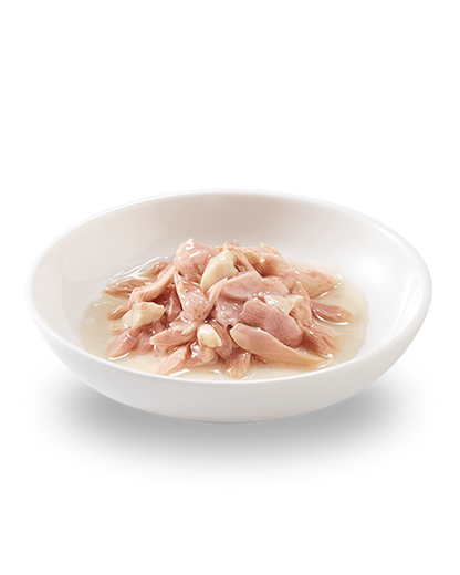 Schesir Tonnetto Con Orata In Brodo Di Pesce Lattina Cibo Umido Gatto Adulto 70g