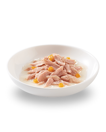 Schesir Tonnetto Con Zucca Lattina Cibo Umido Gatto Adulto 70g