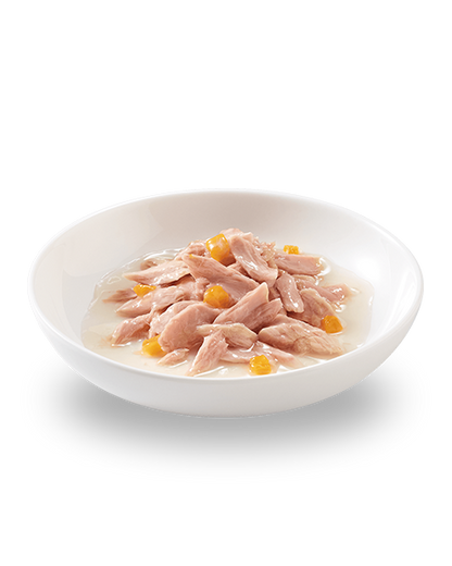 Schesir Tonnetto Con Zucca Lattina Cibo Umido Gatto Adulto 70g