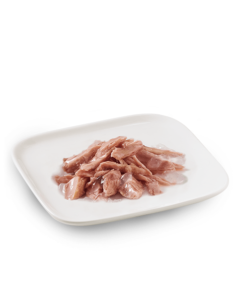 Schesir Tonnetto Cibo Umido Cani Adulti Lattina 150 g