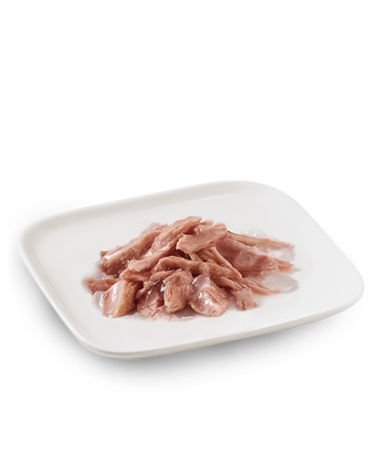Schesir Tonnetto Cibo Umido Cani Adulti Lattina 150 g