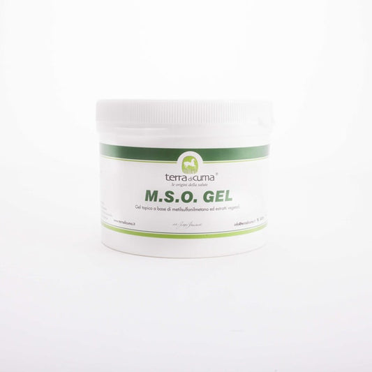 Mso Gel Per Equini 500g