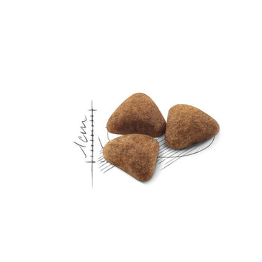 Royal Canin Feline Home Life Indoor 27 Crocchette Per Gatti Sacco 2kg