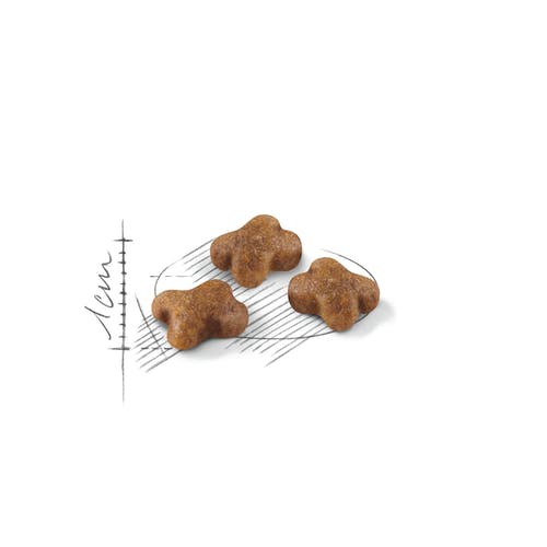 Royal Canin Kitten Crocchette Per Gatti 400g