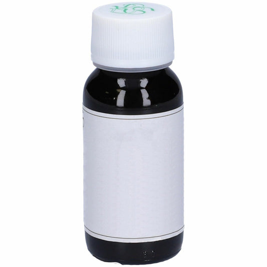 Lvs 07n Solidago Virgaure Comp