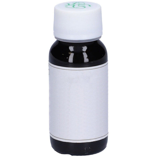 LVS 55S Curcuma Zedoaria Compositum 60ml