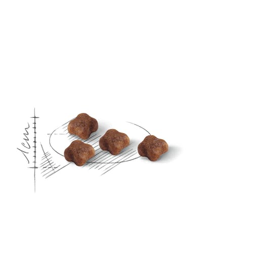 Royal Canin Feline First Age Mother And Babycat Crocchette Per Gatti Sacco 400g