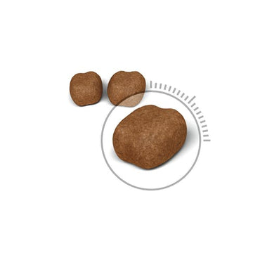 Royal Canin Feline Oral Care Crocchette Per Gatti Sacco 400g