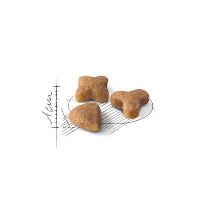Royal Canin Feline Regular Sensible 33 Crocchette Per Gatti Sacco 2kg