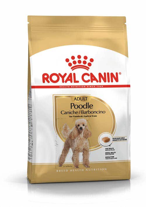 Royal Canin Crocchette Per Cani Barboncino Adulti Sacco 1,5kg