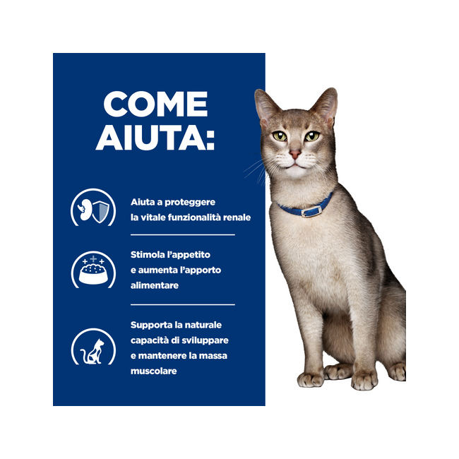 Hill's Prescription Diet K/D Salute Dei Reni Con Pollo Crocchette Per Gatti Sacco 1,5 Kg