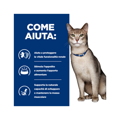 Hill's Prescription Diet K/D Salute Dei Reni Con Pollo Crocchette Per Gatti Sacco 1,5 Kg
