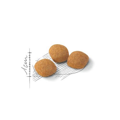 Royal Canin Feline Preference Protein Exigent Crocchette Per Gatti Sacco 400g