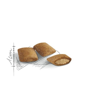 Royal Canin Feline Ageing 12+ Anni Crocchette Per Gatti Senior Sacco 2kg