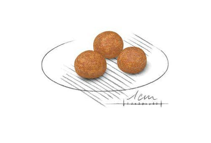 Royal Canin Crocchette Per Cani Adulti Taglia Molto Piccola Sacco 1,5kg