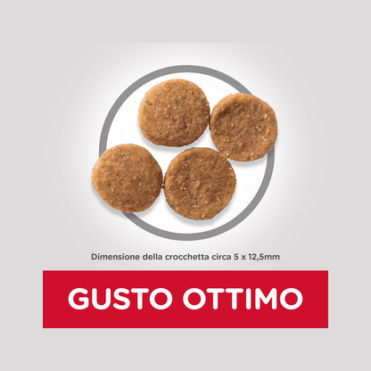 Hill's Science Plan Medium Croccantini Per Cani Adulti Con Pollo Sacco 2,5 Kg