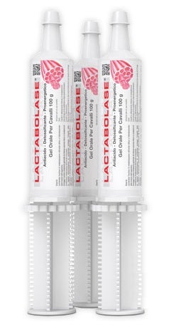 Lactabolase Gel Orale Per Equini 1 Siringa 100g