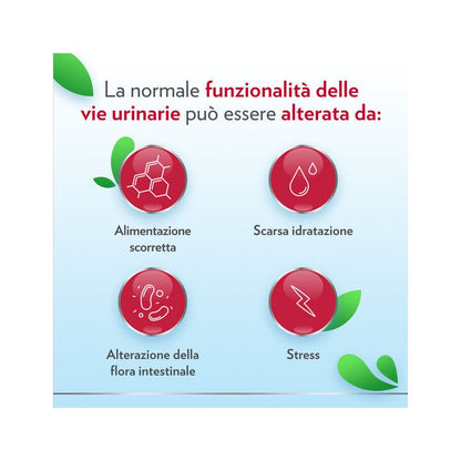Gyno-CanesCystil Integratore Alto Dosaggio di D-Mannosio per Benessere Delle Vie Urinarie 14 bustine