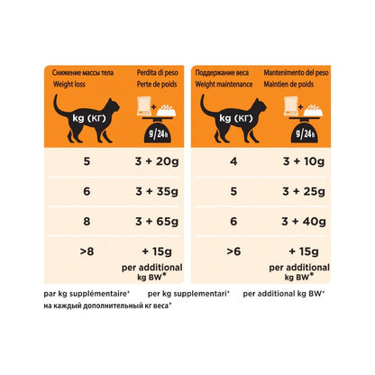 Purina Pro Plan Veterinary Diets Multipack Umido Gatto OM Obesity Management St/Ox Pollo 10 Bustine
