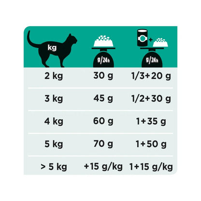 Purina Pro Plan Veterinary Diets Secco Gatto EN Gastrointestinal St/Ox Busta 400g
