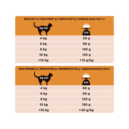 Purina Pro Plan Veterinary Diets Secco Gatto OM Obesity Management St/Ox Sacco 1,5 kg