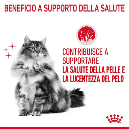 Royal Canin Hair & Skin in Salsa Alimento Umido Per Gatti Adulti Bustina 85g