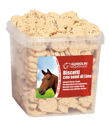 EQUISNACK BISCOTTI LINO 2,5KG