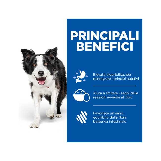 Hill's Prescription Diet I/D Sensitive Crocchette Uovo E Riso Cani Sacco 1,5kg