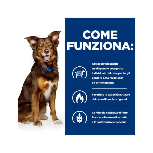 Hill's Prescription Diet Metabolic Crocchette Al Pollo Per Cani Sacco 12kg