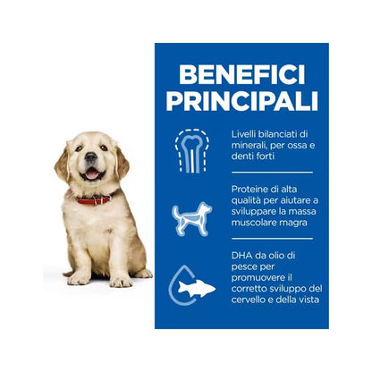 Hill's Science Plan Large Breed Puppy Crocchette Con Pollo Per Cuccioli Sacco 2,5 Kg