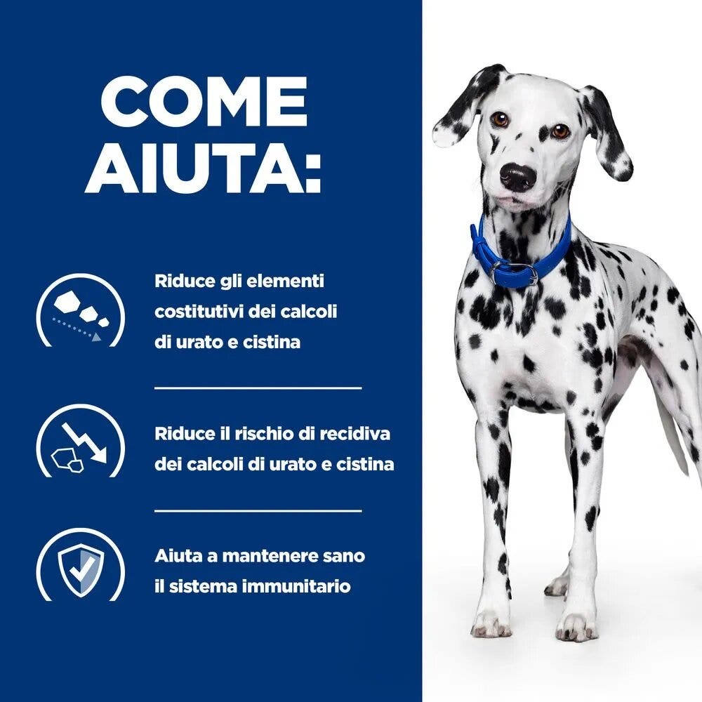 Hill's Prescription Diet U/D Urinary Care Alimento Umido per Cani 370g