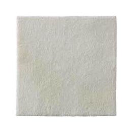 Biatain Alginate Ag 10x10 10pz