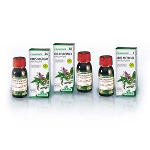 Specchiasol Gemmosol 13 Linfa di Betulla 50ml