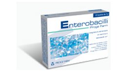 Enterobacilli 10bust