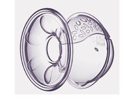 Avent Conchigl Raccoglilatte2p