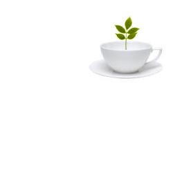 Tisalax Misc Erbe 100g Tt