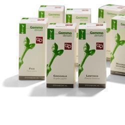 Lentisco 200ml Mg
