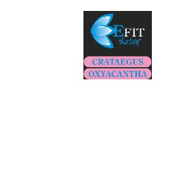 Crataegus Oxyacantha Ef 30ml
