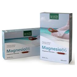 Magnesio B6 20ampolle