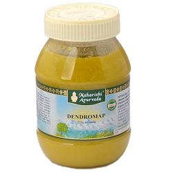 Dendromap Pasta 250g