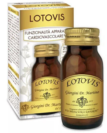 Lotovis 100past