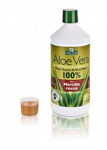 Aloe Vera Succo Mirtillo 1l
