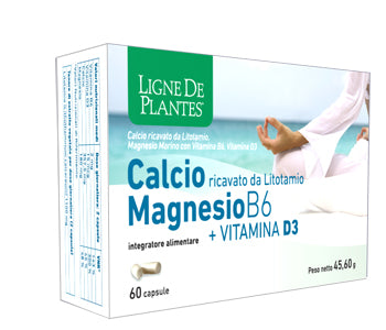Calcio+magnesio B6+vitd3 60cps