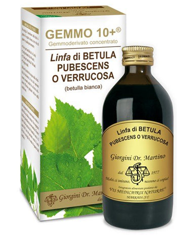Betulla B Linfa An Gemm10+ 200